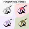 All-in-One Pet Harness and Leash Vest