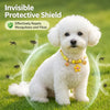 Adjustable Cat & Dog Collar with Bell