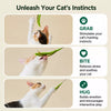 Cat Teaser Wand with Foxtail Attachments