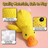 Plush Squeaky Dog Toy Collection