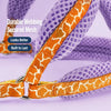 Small Dog Vest Harness for Walks