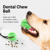 Suction Cup Treat Ball Dog Toy