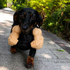3D-Printed Arm & Hand Pet Collar Charm for Dogs & Cats