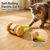 Rechargeable Electronic Cat Toy – Mouse & Toy Car Designs
