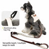 Adjustable Vest-Style Dog Harness & Leash Set
