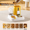 Automatic Pet Feeder with Dual Food and Water Bowls