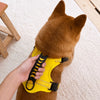 Dog Harness and Leash
