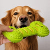 Double-Layer Squeaky Bone Chew Toy for Large Dogs