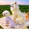 Printed Mesh Four-Leg Dog Shirt for Summer