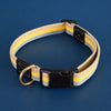Adjustable Canvas Dog Collar