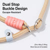 Nylon P-Chain Dog Leash for Everyday Walks and Training