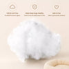 Cat & Dog Foam Pet Bed