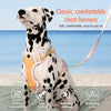 KUMFI H-Style Pet Harness
