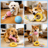 Dog Chew & Play Toys