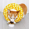 Soft Polyester Recovery Cone for Dogs and Cats