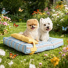 Striped Pet Bed with Removable, Washable Cushion