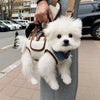 Pet Carrier Bag with Handheld and Shoulder Strap for Small Dogs & Cats