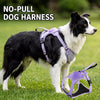 All-in-One Pet Harness and Leash Vest