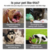 Dog Muzzle with Plastic Frame and Mesh Panel