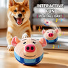 Interactive Dog Toys with Sound and Bouncing Action