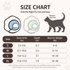 Plastic Recovery Cone for Dogs