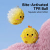 Squeaky Spiky Ball Toy for Dogs