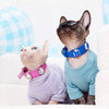 Jeweled Faux Leather Collar for Dogs and Cats