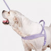 Wraparound Dog Harness