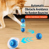 Interactive Electric Bouncing Ball Toy for Dogs