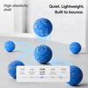 Interactive Electric Bouncing Ball Toy for Dogs