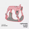 Lightweight Pet Harness and Leash Set