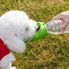 Foldable Pet Water Bottle for Dog Walks