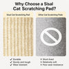 Square Sisal Cat Scratcher Barrel with Cat Resting Area