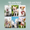 Small Dog Vest Harness for Walks