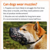 Dog Muzzle with Plastic Frame and Mesh Panel