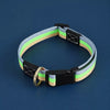 Adjustable Canvas Dog Collar