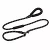Dog Slip Lead for Everyday Walks and Training