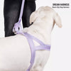 Wraparound Dog Harness