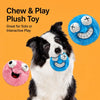 Plush Squeaky Dog Toy Ball