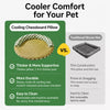 Round Woven Cat Bed with Removable Washable Mat