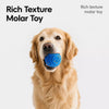 Interactive Electric Bouncing Ball Toy for Dogs
