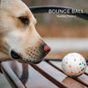 Floating Foam Fetch Toy Ball for Dogs and Cats