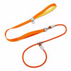 Integrated Dog Collar and Leash with Control Handle