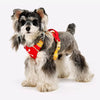 Adjustable Vest-Style Dog Harness & Leash Set