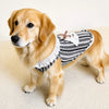 Lightweight Cotton Summer Shirt for Dogs and Cats