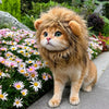 Novelty Pet Costume Hats for Cats and Dogs
