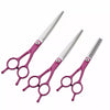 Pet Grooming Scissors for Dogs and Cats