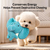 Plush Squeaky Dog Toy