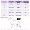 All-in-One Pet Harness and Leash Vest