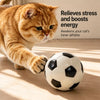 Interactive Cat Ball Toy – 6 cm Sports Ball Design